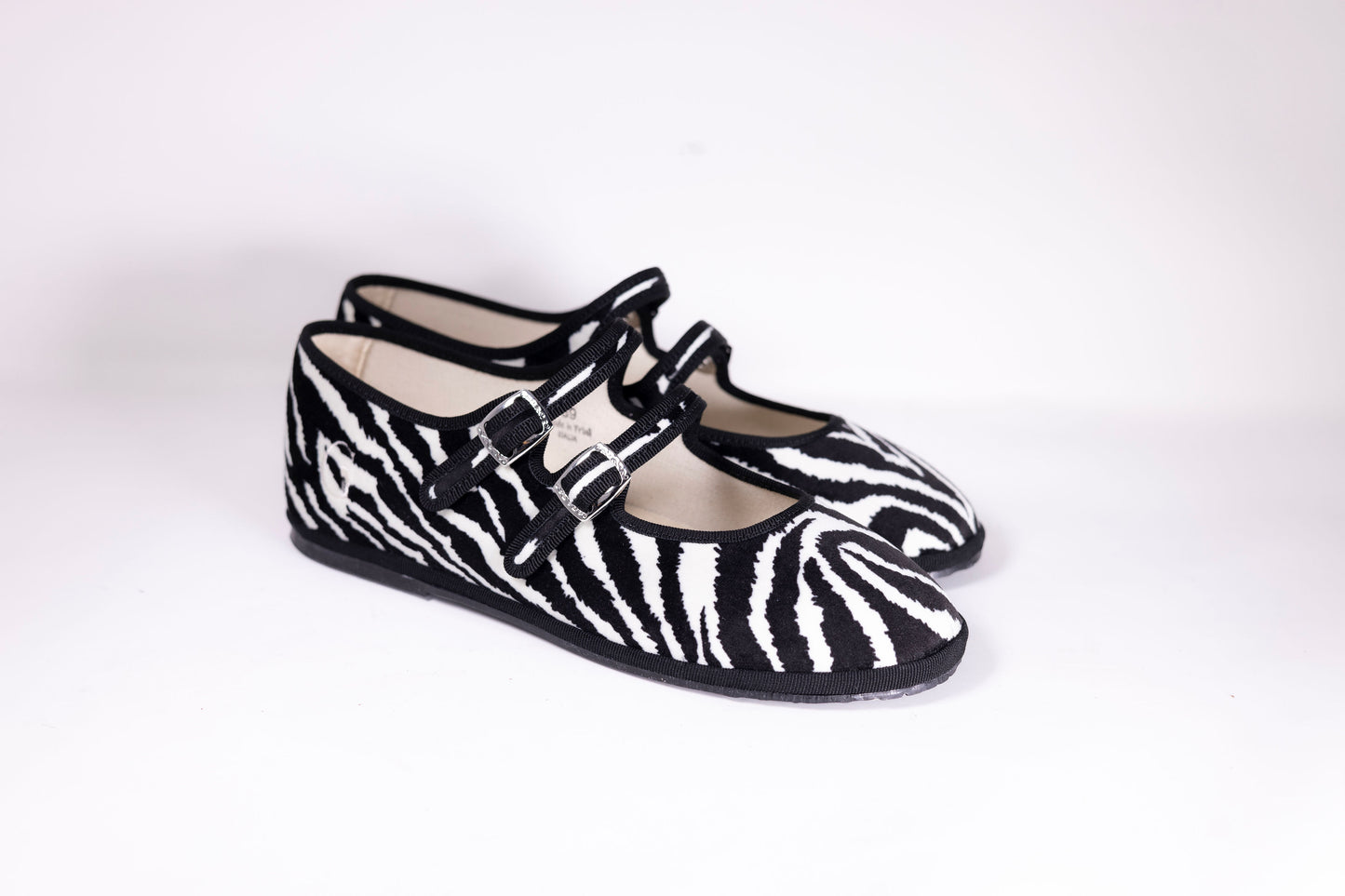 Zebra´s safari