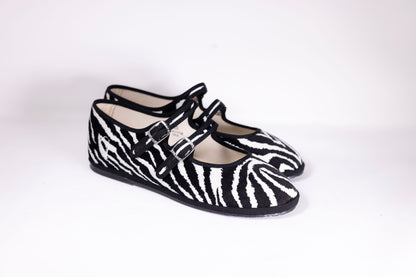 Zebra´s safari