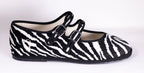 Zebra´s safari