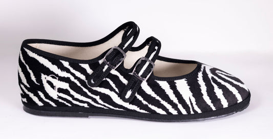 Zebra´s safari